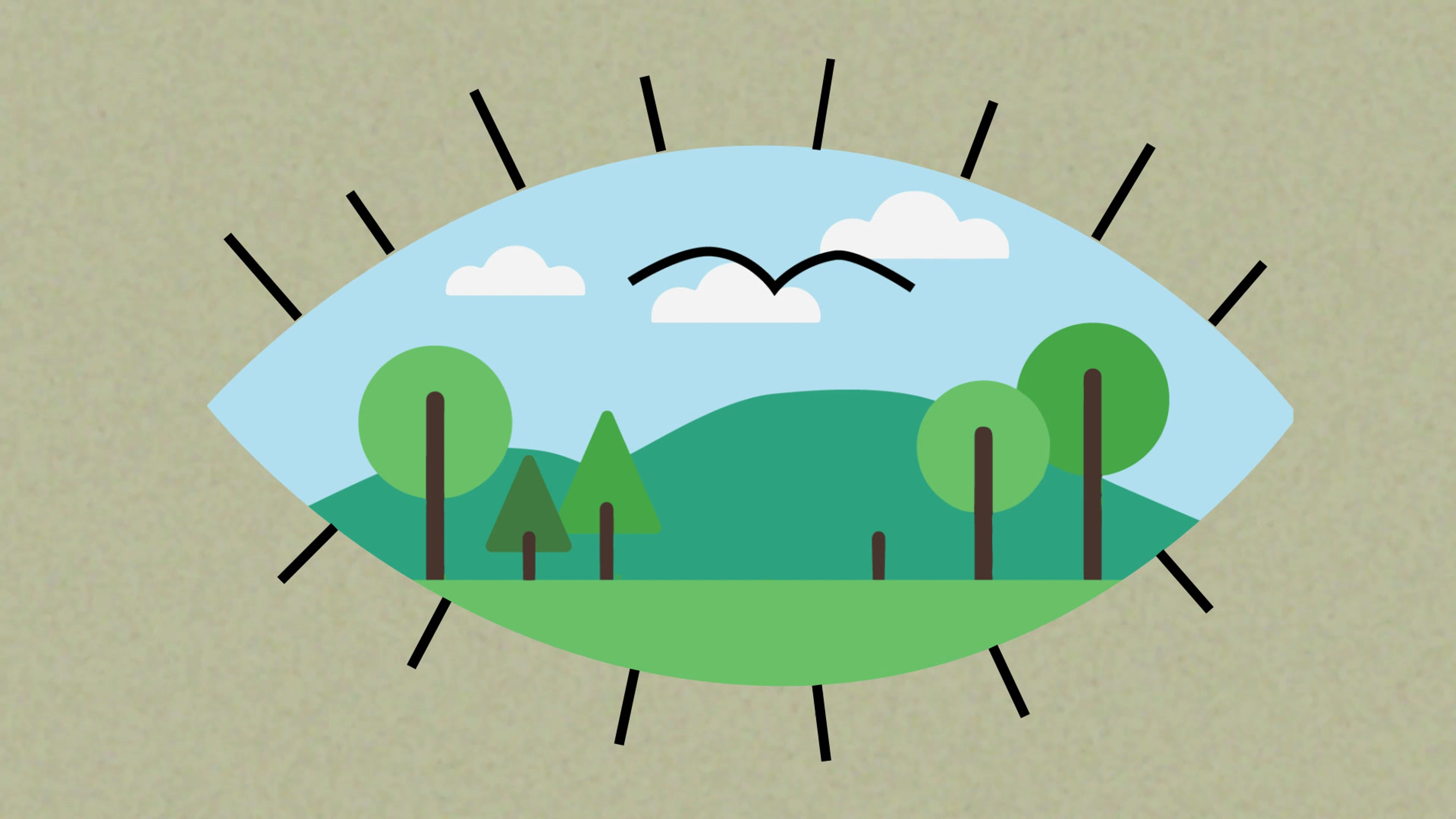 Animation-Aylin-Senol